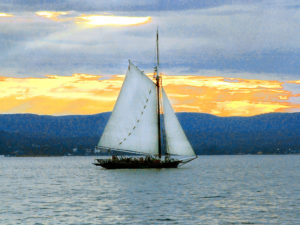 Clearwater Sloop 